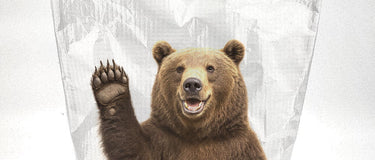 The Complete Guide to Bear Bag Hanging - Hilltop Packs LLC
