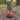 Fuel Coaster ground Insulator for your cook kit - Hilltop Packs LLC