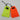 Ultralight Bear Bag Throw Kit (Rock Sack + Cord System) - Hilltop Packs LLC