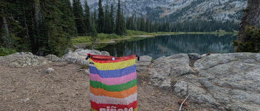 Anna Loves This Bear Bag - Hilltop Packs LLC