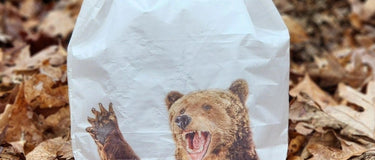 How to Hang a Bear Bag (PCT Method) + Ultralight Food Storage Guide [2026 Edition] - Hilltop Packs LLC