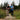 Why backpacking? - Hilltop Packs LLC