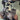 Backpack Hanger (Gear Storage Hook for Packs) - Hilltop Packs LLC