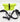 Ultralight Roll Top Fanny Pack (ECOPAK Lightweight) - Hilltop Packs LLC